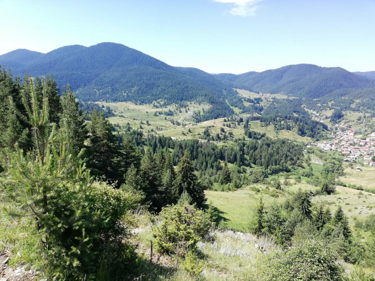 Къща За Гости Романс Yagodina Dış mekan fotoğraf